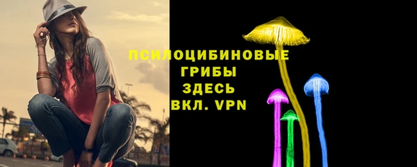 стаф Володарск