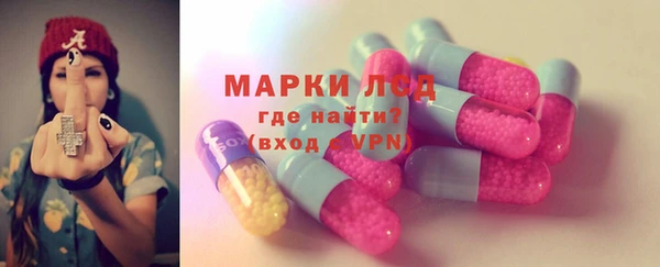 стаф Волосово