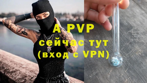 стаф Володарск