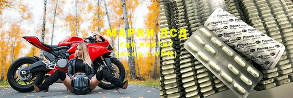стаф Волосово