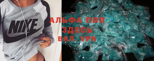 стаф Волосово