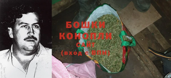 стаф Волосово