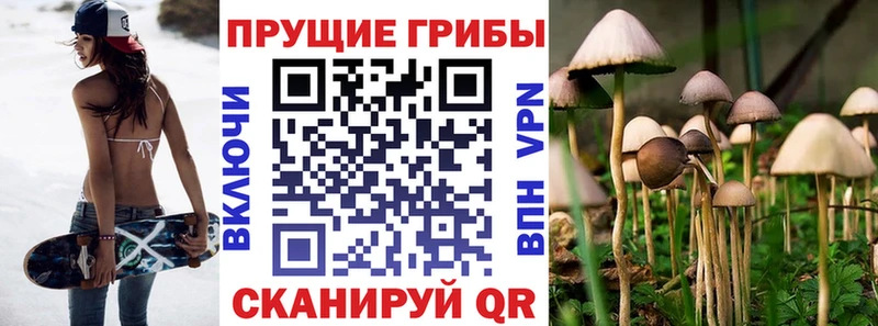 Купить где  Сорочинск  Псилоцибиновые грибы GOLDEN TEACHER 