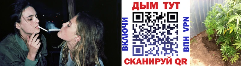 Купить закладки Сорочинск МАРИХУАНА OG Kush